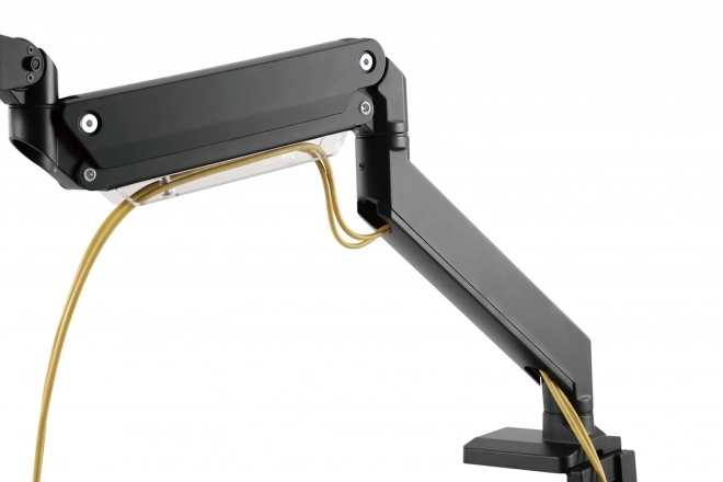 Ergonomic Monitor Arm with Gas Spring
