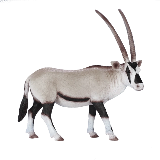 Mojo arabische spiesbok