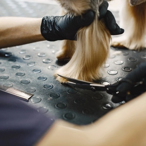 Premium Hundefrisörscheren Set in Etui