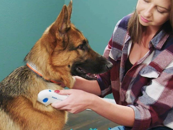 Elektrische vlooienkam voor honden en katten