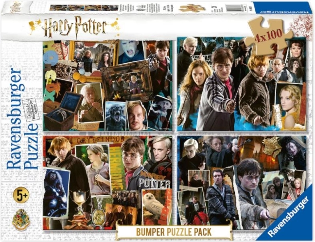 Puzzel 4x100 stukjes Harry Potter