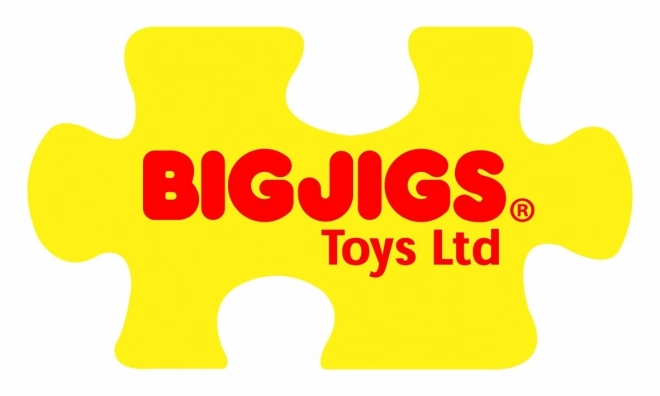 Bigjigs Toys breipop pop