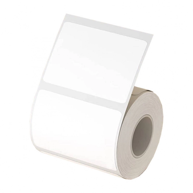 Thermal Labels for Niimbot B21