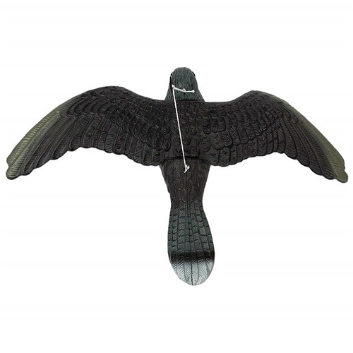 Bird Repellent Falcon