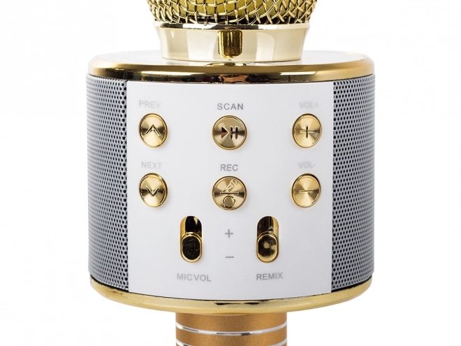 Ingebouwde stemmodulator
