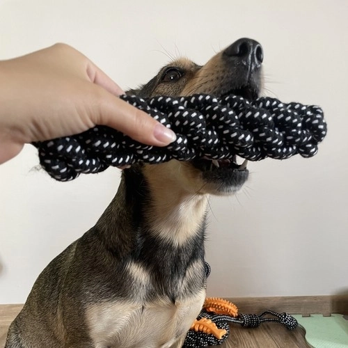 Set speelgoed voor honden - 10 stuks. Purlov 24388