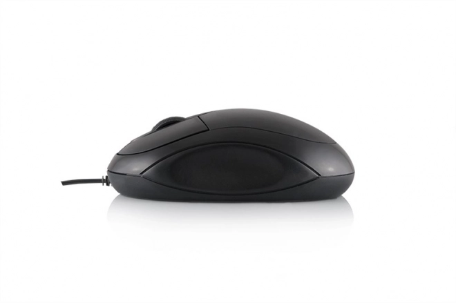 Souris optique Logic LM-11