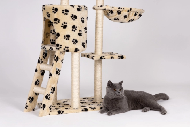 Arbre à chat, maison, arbre, lit, 138cm XL, empreintes de pattes