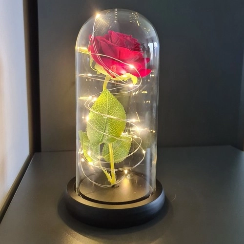 Roos in glas - stralend