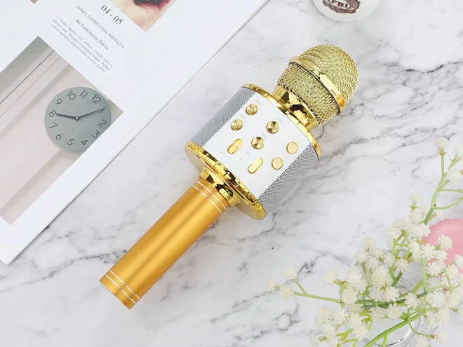 Draadloze bluetooth karaoke microfoon