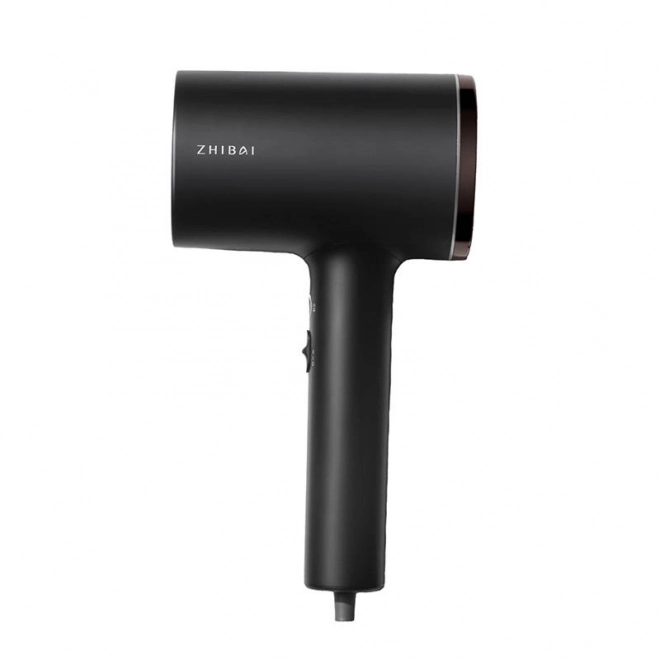 Hair Dryer with Ionization