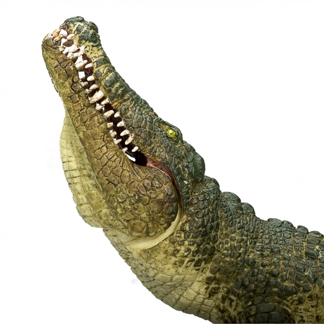 Realistische Krokodil met Beweegbare Kaak