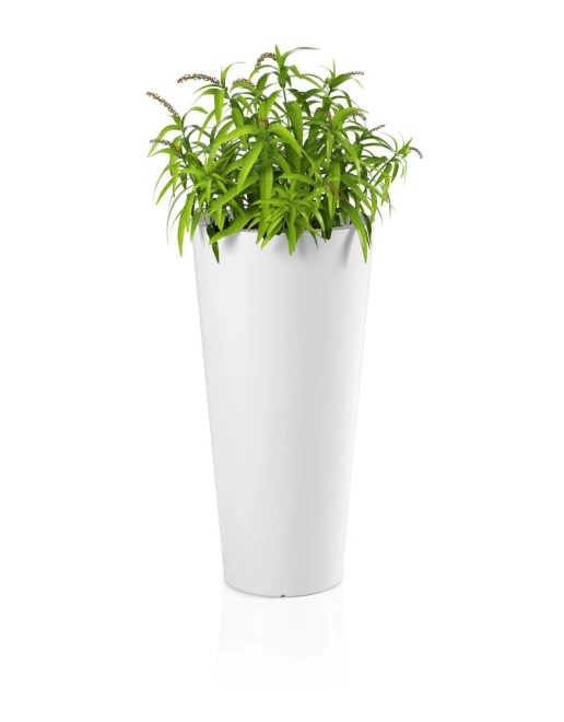 Uniek design en stijl