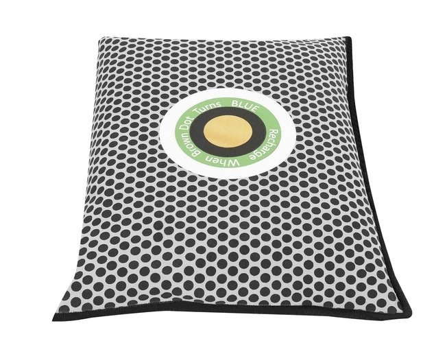 Déshumidificateur - absorbeur d'humidité pour voiture