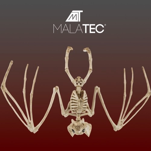 Squelette de chauve-souris - décoration 30 cm Malatec