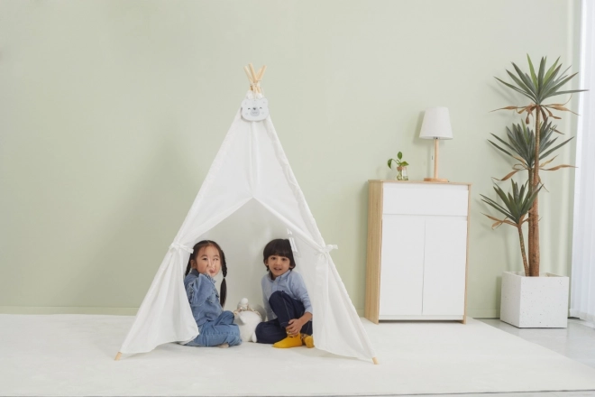 Stan Tipi