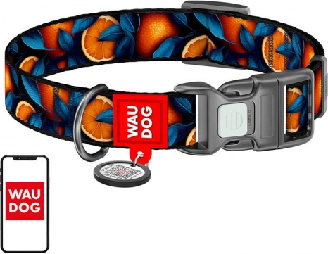 Waudog collier pour chiens « Oranges » en nylon avec code QR, taille XL