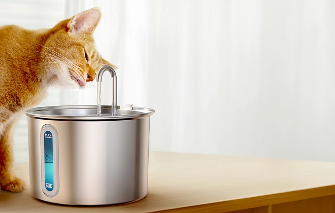 Oneisall fontaine à eau pour chiens et chats en acier inoxydable