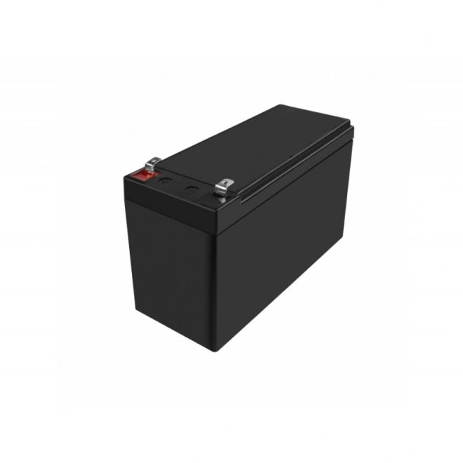 Oplaadbare batterij AGM VRLA Green Cell AGM50 12V 10Ah (voor UPS, speelgoedautootjes, grasmaaiers)