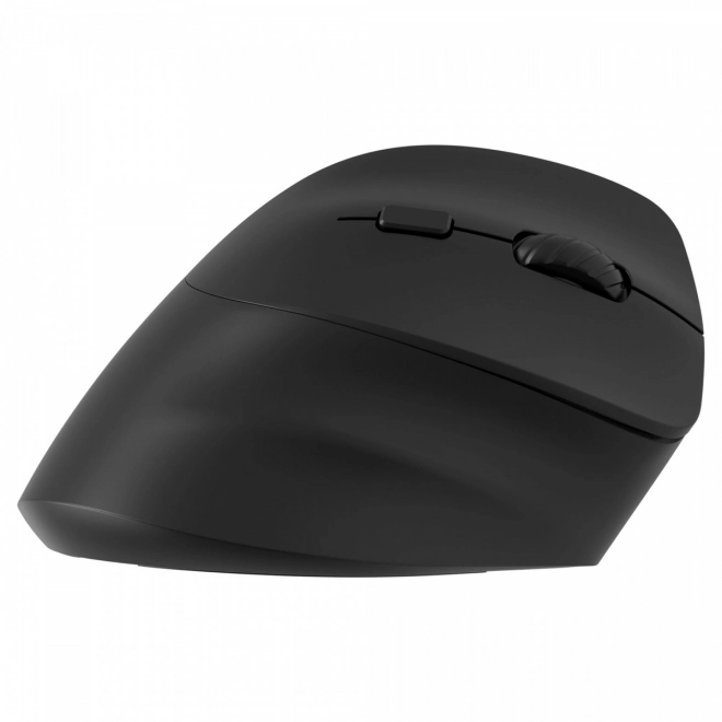 Ergonomic Vertical Wireless Mouse