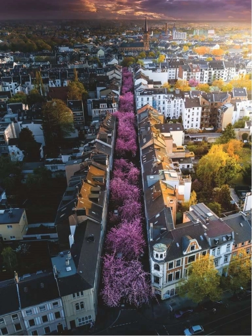 Ravensburger puzzel 1500 stukjes Bonn, Duitsland