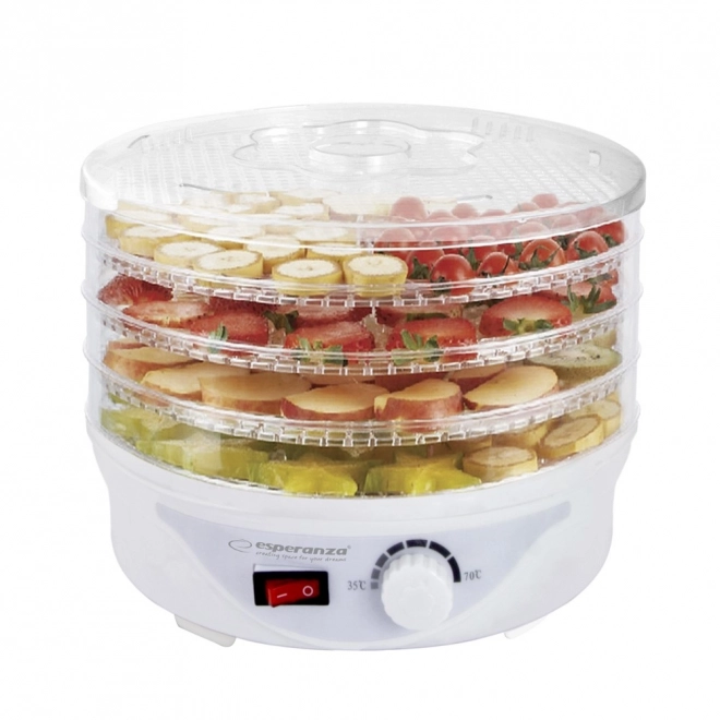 Drogermachine voor paddenstoelen, fruit en groenten Delicatesse