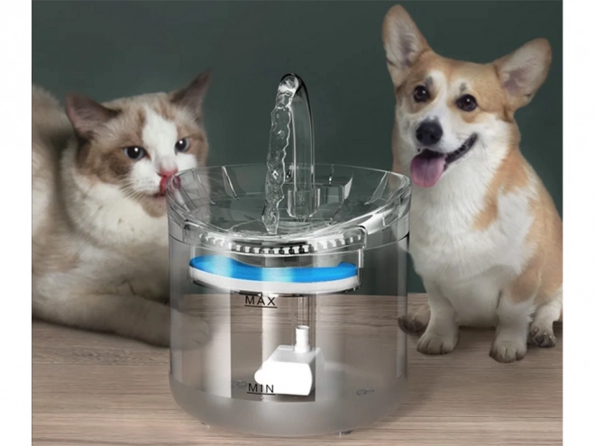 Abreuvoir automatique pour chats et chiens