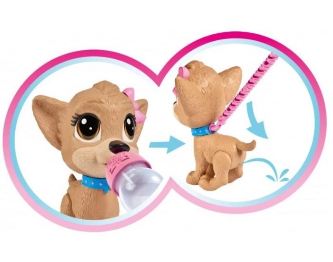 CCL Hondje Chihuahua Pii Pii