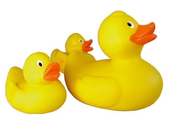 Lena Eendenfamilie