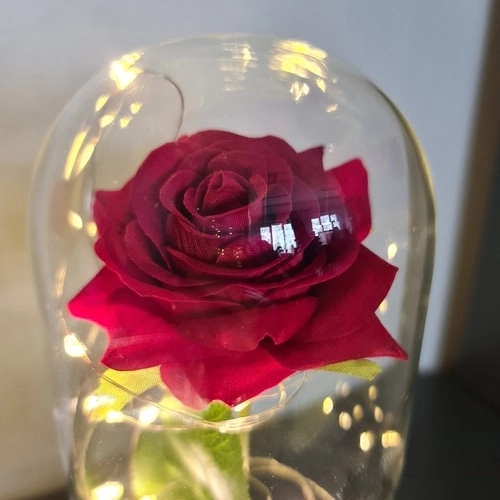 Roos in glas - stralend