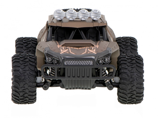 Race-RC-auto voor terrein