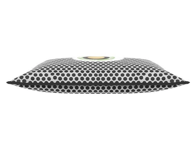 Déshumidificateur - absorbeur d'humidité pour voiture