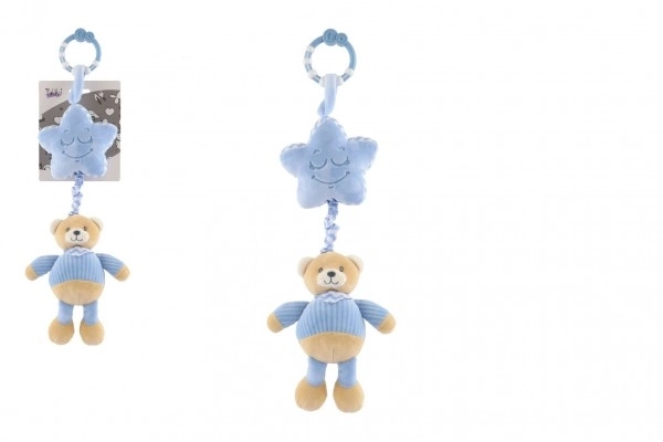 Muziekdoos pluchen teddybeer