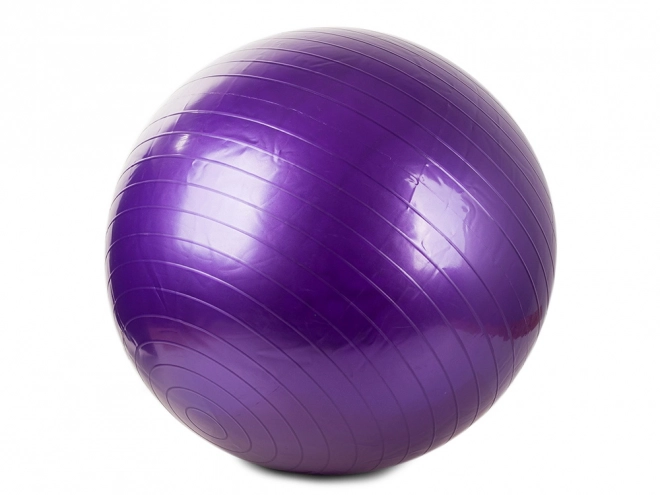 Gym bal met pomp