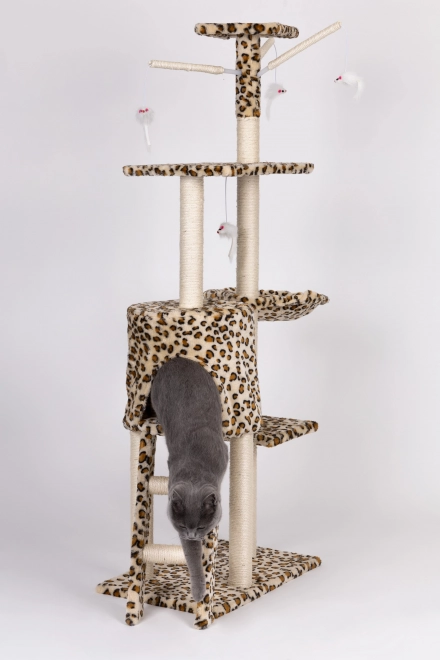 Arbre à chat, maison, arbre, lit, 138cm xl, Panther