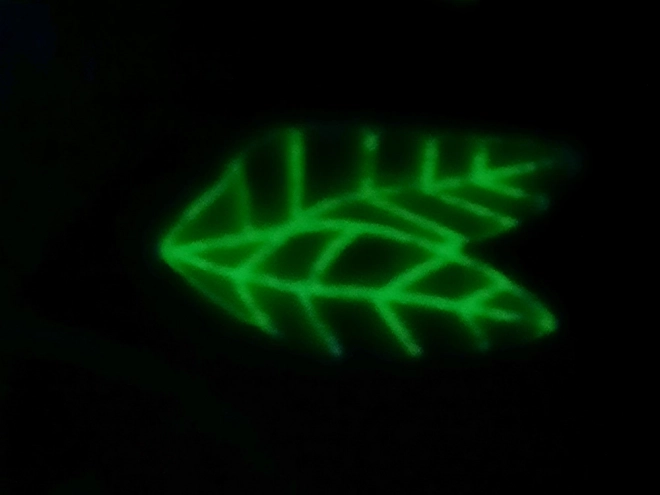 Lichtgevende sweatshirt met dinosaurussen voor kinderen
