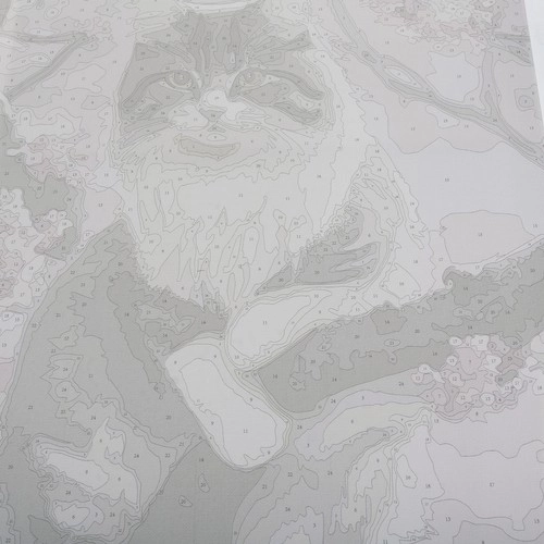 Schilderij op nummer 40x50cm- Maaleo kat. nr. 22783