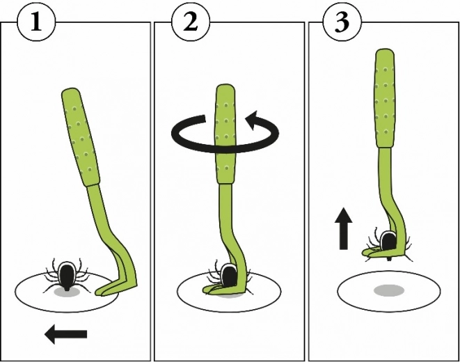 Einfacher Schritt-für-Schritt-Ablauf