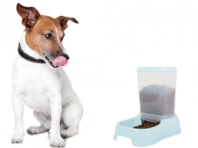 Automatische voerdispenser voor honden en katten