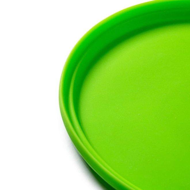 Frisbee Bigjigs Toys green for outdoor fun