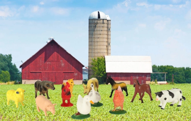 Set Educatieve Figuren Dieren Op De Boerderij