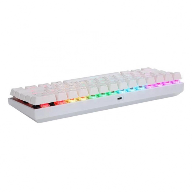 Draadloos mechanisch toetsenbord Motospeed SK62 Wit – Blauwe schakelaar