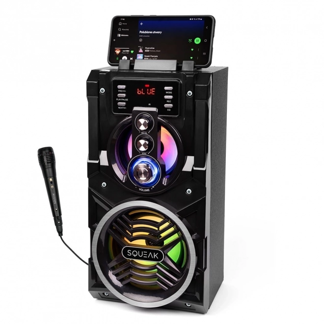 Bluetooth Speaker with Karaoke 20W BeatBoxer