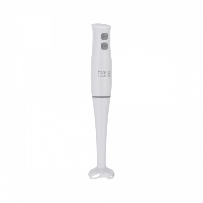 Stabmixer Teesa 400W