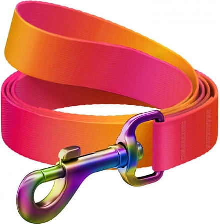 Laisse pour chien WAUDOG, 20 mm de large, 122 cm de long, orange