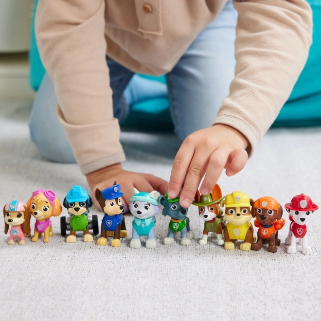 Paw Patrol Verjaardag multi-pack figuren