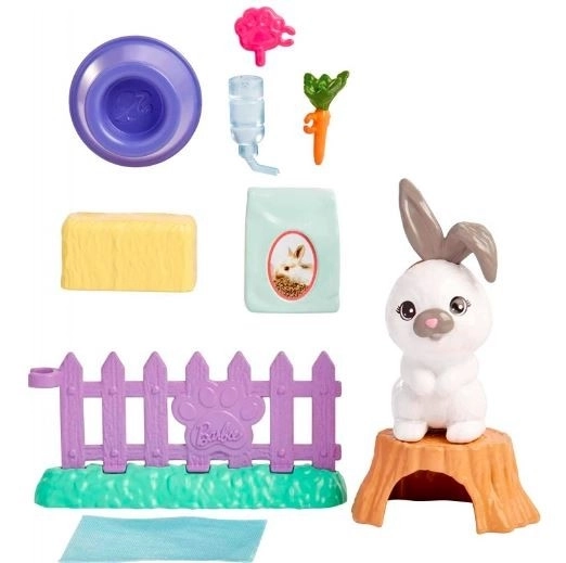Barbie mini konijnetje en accessoires