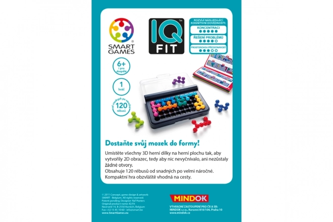 Smart IQ Fit Puzzle Game