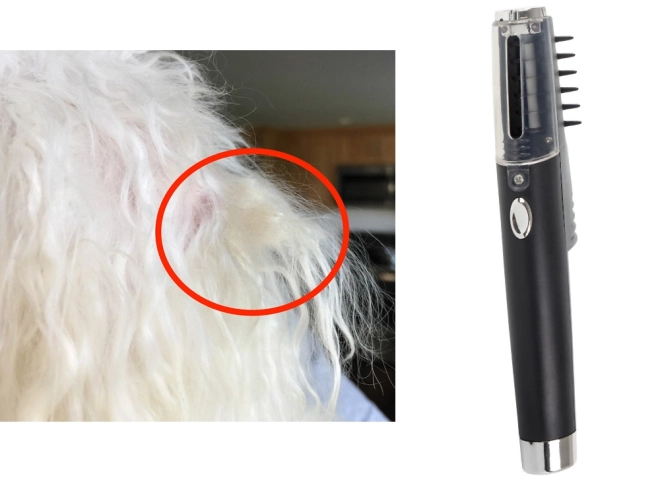 Electric Pet Grooming Comb