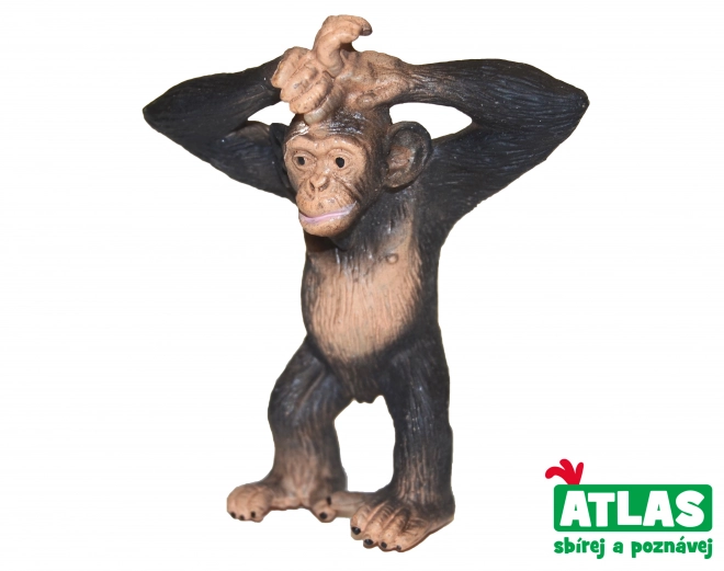 A - Chimpansee 6 cm